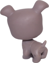 #1463 Boxer